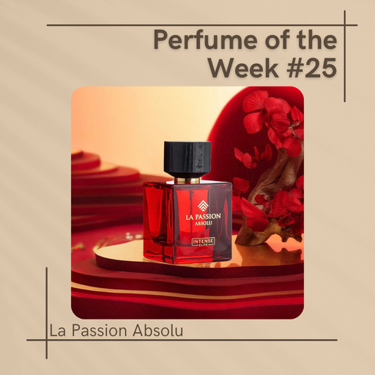 La Passion Absolu: For Women Who Radiate Confidence