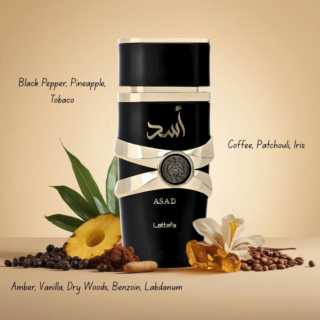 Asad, Asad Zanzibar, Asad Zanzibar Limited Edition & Asad Bourbon Eau de Parfum Sprays 100ml by Lattafa | Strength, Sophistication & Exotic Allure (Bundle) - Intense Oud
