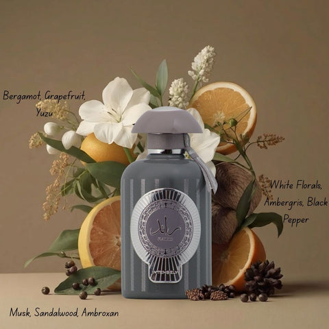Ra'ed Intensely Eau de Parfum Spray 100ml (3.4 oz) by Lattafa - Intense Oud