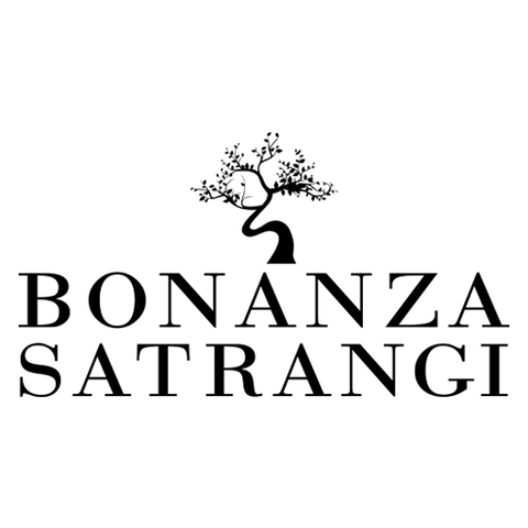 Zoya for Women EDP - 100 ML (3.4 oz) by Bonanza Satrangi - Intense oud