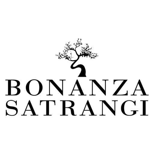 Notorious for Men EDP - 100 ML (3.4 oz) by Bonanza Satrangi - Intense oud