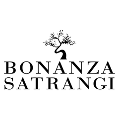 Wanted for Men EDP - 100 ML (3.4 oz) by Bonanza Satrangi - Intense oud