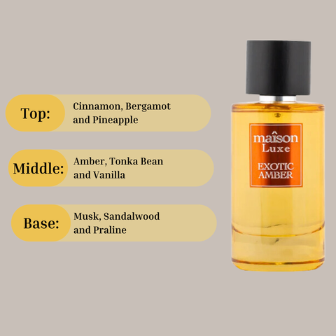 Maison Luxe Exotic Amber Eau de Parfum spray by Hamidi in a velvet pouch, featuring warm amber fragrance and elegant packaging.