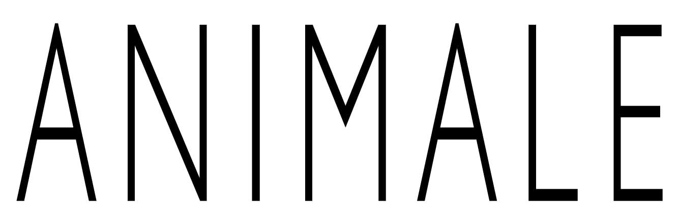 Animale for Men Eau De Toilette 100ml bottle with Animale logo, sleek design, and elegant packaging.