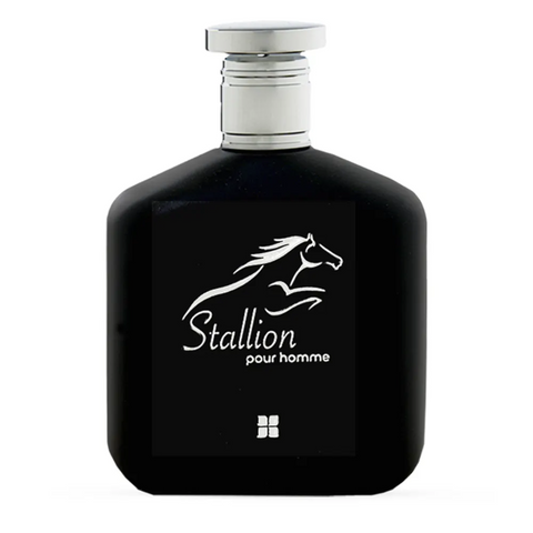 Stallion Pour Homme EDP - 100 ML (3.4 oz) by Ideas - Intense Oud